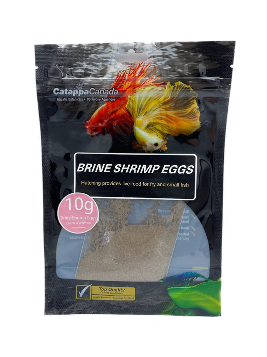 Catappa Canada 10g of Brine Shrimp Eggs