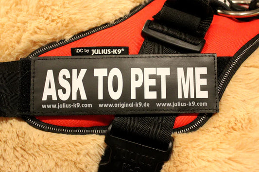 Julius-K9 Harness Label - "ASK TO PET"