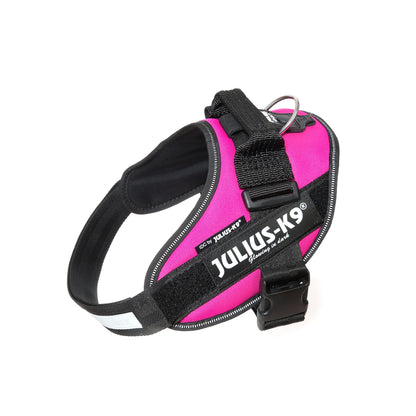 Julius-K9 IDC® Powerharness - Dark Pink