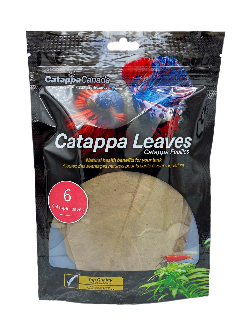 Catappa Canada 6 medium Catappa Leaves (6")