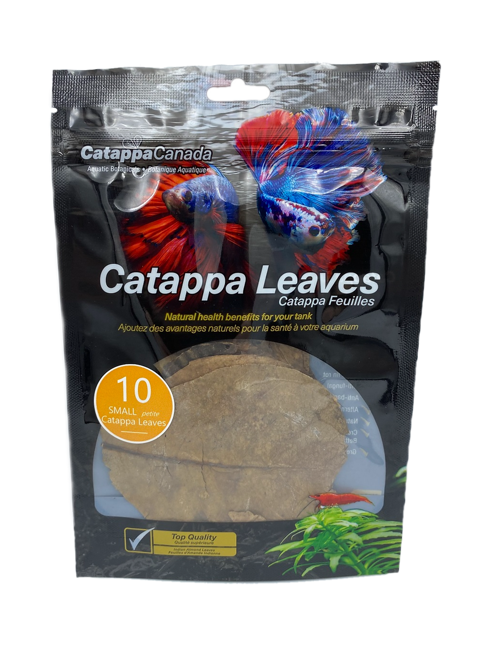 Catappa Canada 10 small Catappa Leaves (3" - 4")