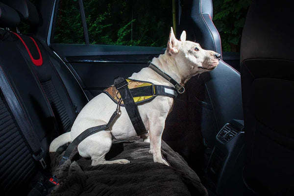 Julius-K9 Seat Belt Connector Dogs Up To 55Lbs/25Kg Safety Seat Belt