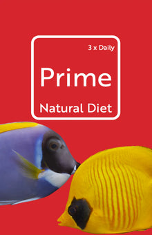 Atoll Prime Diet Mysid Shrimp