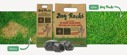 Wow-Finds - Dog Rocks