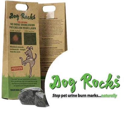 Wow-Finds - Dog Rocks