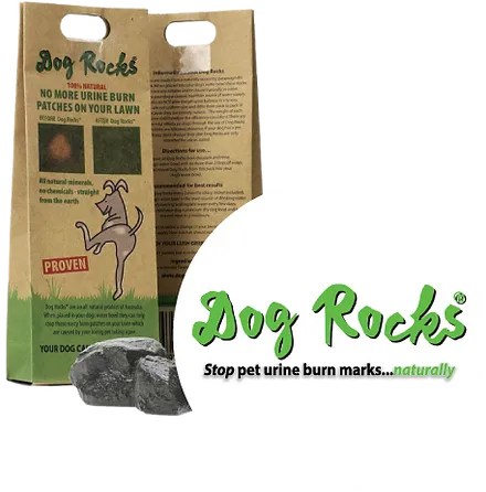 Wow-Finds - Dog Rocks