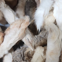 B&T Pets -Dehydrated Rabbit Feet