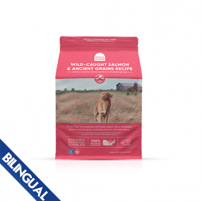 Open Farm® Wild-Caught Salmon & Ancient Grains Dry Dog Food