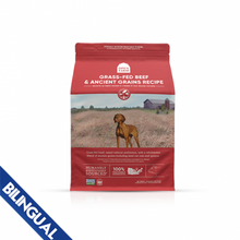 Open Farm® Grass-Fed Beef & Ancient Grains Dry Dog Food