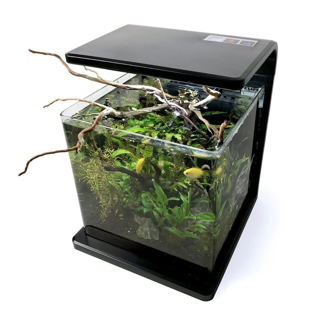 SR AQUARISTIK DECO TANK 15 4 GAL 15L