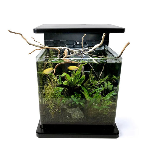 SR AQUARISTIK DECO TANK 15 4 GAL 15L