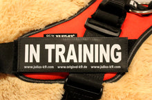 Julius-K9 Harness Labels - set of 2 "IN TRAINING"